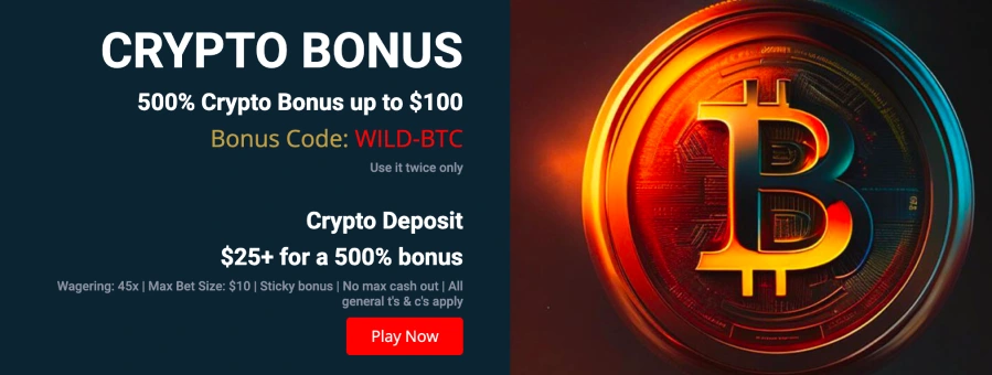 Lion slots casino